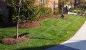 Raleigh Landscaping Projects