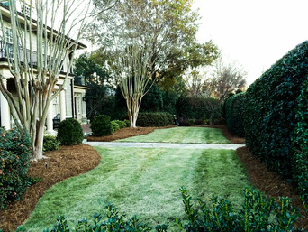 Landscape Maintenance Raleigh