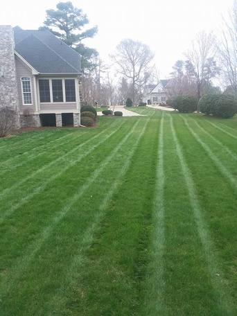 Landscape Maintenance Raleigh