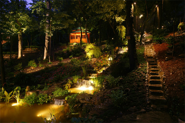 Backyard lighting Raleigh NC